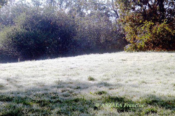 Série photographique de Francine Anzala